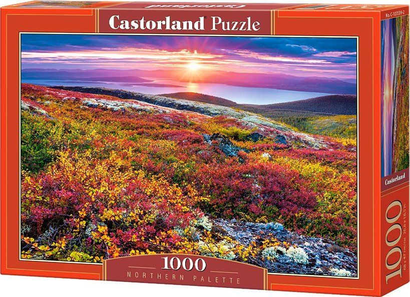 CASTORLAND Puzzle Barvy severu 1000 dílků - obrázek 2