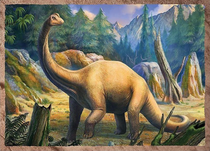 TREFL Puzzle Dinosauři 4v1 (35,48,54,70 dílků) - obrázek 5