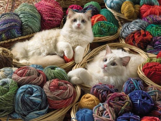 COBBLE HILL Puzzle Kočky ragdoll XL 275 dílků - obrázek 1