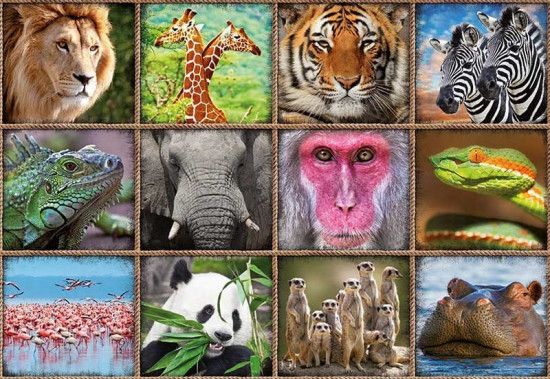EDUCA Puzzle Koláž divokých zvířat 1000 dílků - obrázek 1