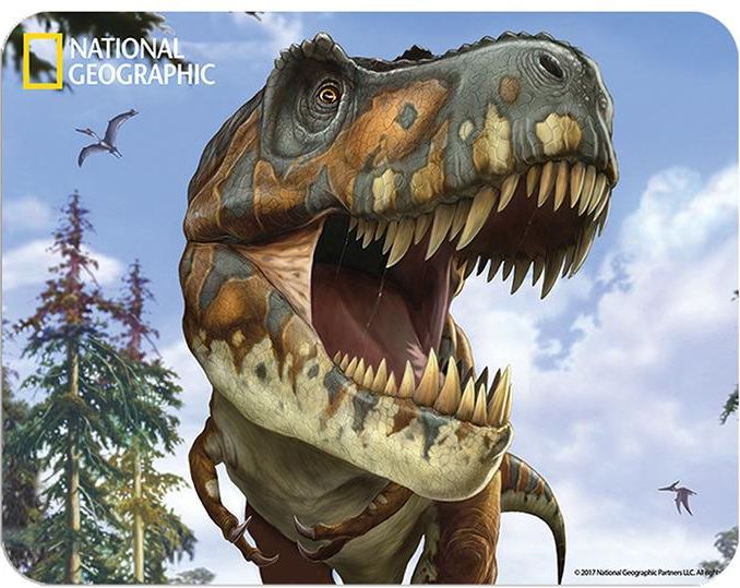 Magnet 3D Tyrannosaurus Rex - obrázek 1