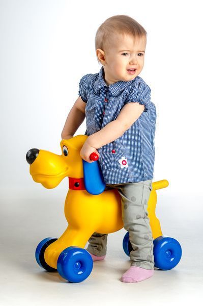 Teddies pes plast - obrázek 2