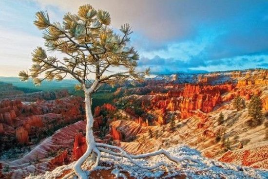 EUROGRAPHICS Puzzle Grand Canyon - Zimní svítání (HDR) 1000 dílků - obrázek 1