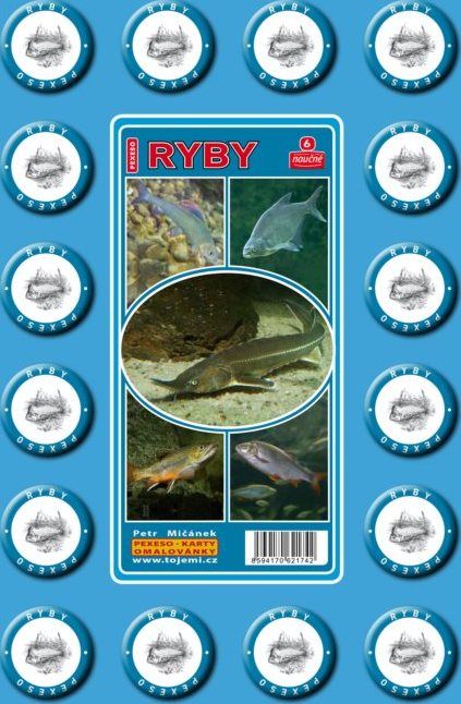 MIČÁNEK Rodinná hra Pexeso: Sladkovodní ryby - obrázek 1