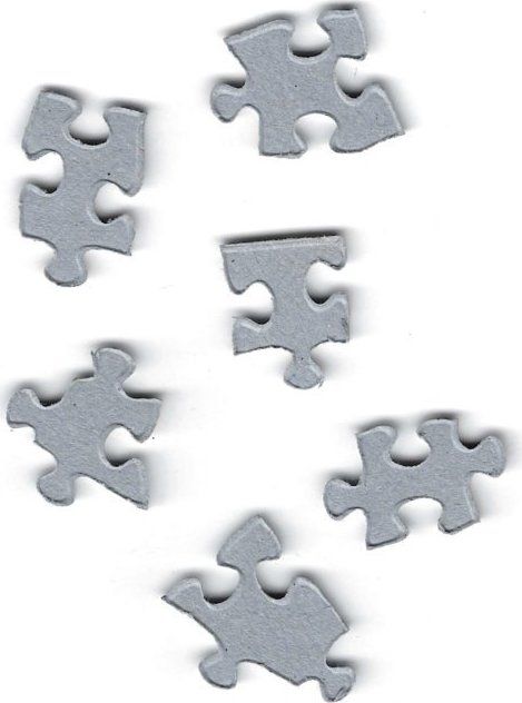 EUROGRAPHICS Puzzle Volkswagen Brouk na cestách 1000 dílků - obrázek 2