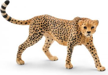 Zvířátko - samice geparda - obrázek 1