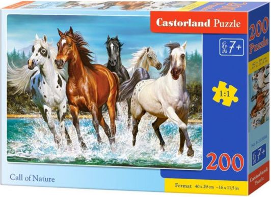 CASTORLAND Puzzle Volání přirody 200 dílků - obrázek 1