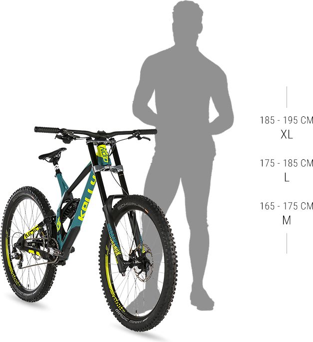 Kellys NOID 70 27,5" - model 2019 M (15", L 546 mm) - obrázek 3