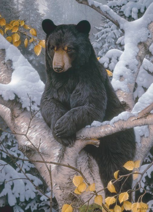 COBBLE HILL Puzzle Medvěd baribal 1000 dílků - obrázek 1