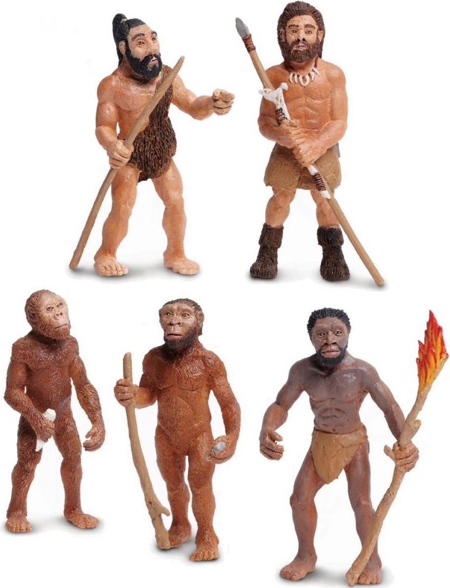Safari Ltd Vývoj člověka - obrázek 1