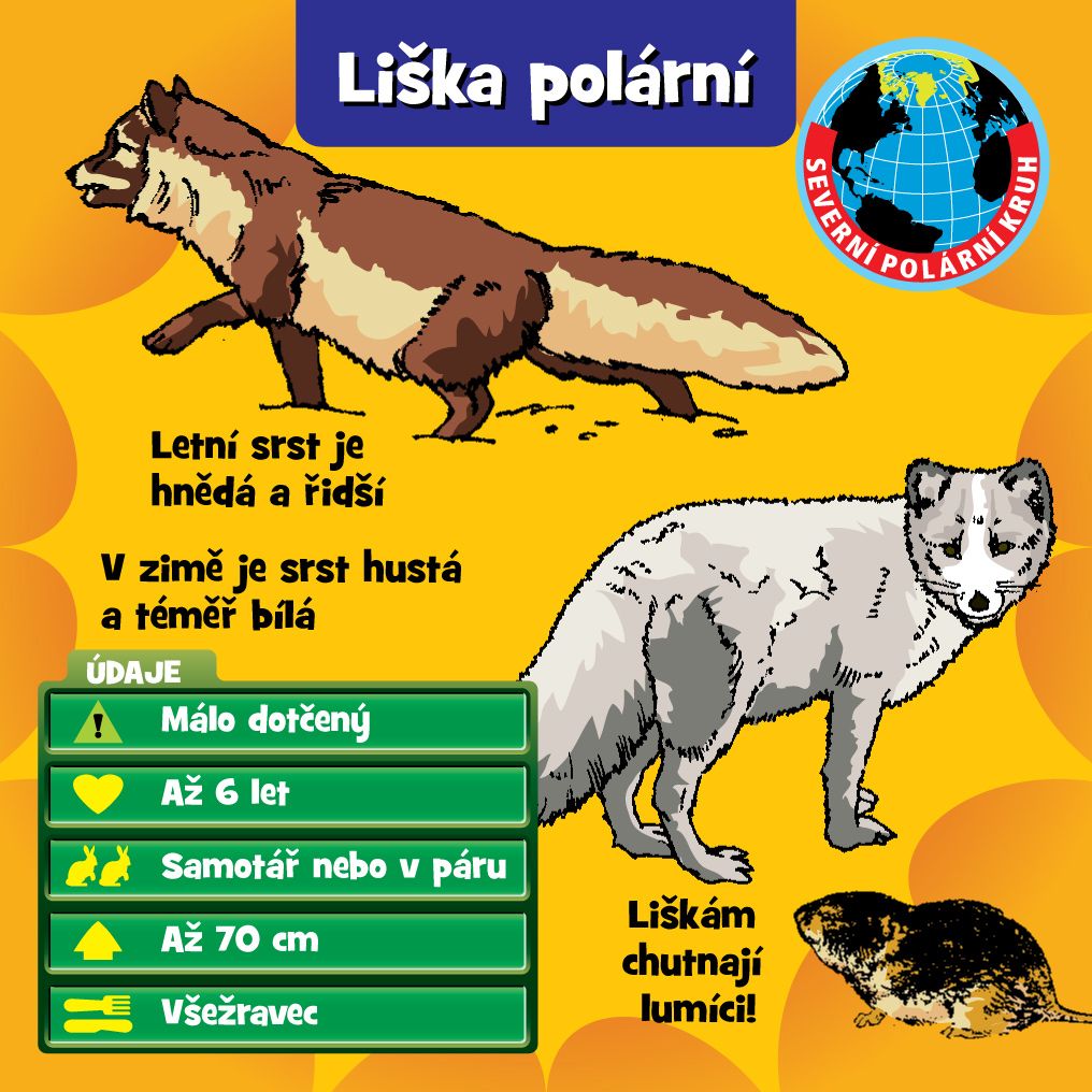 V kostce! Zvirata - obrázek 3