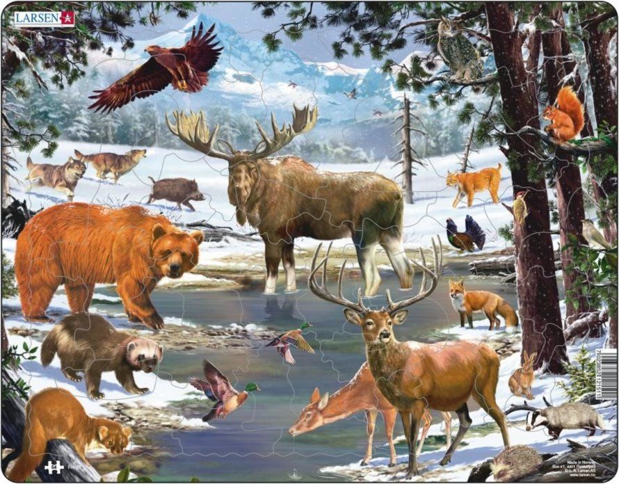 LARSEN Puzzle Krajina severního lesa 54 dílků - obrázek 1