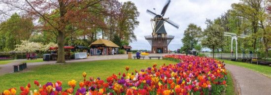 JUMBO Panoramatické puzzle Keukenhof, Nizozemsko 1000 dílků - obrázek 1