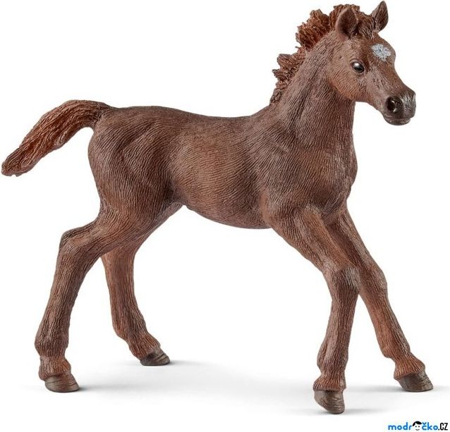 Schleich - Kůň, Anglický plnokrevník hříbě - obrázek 1