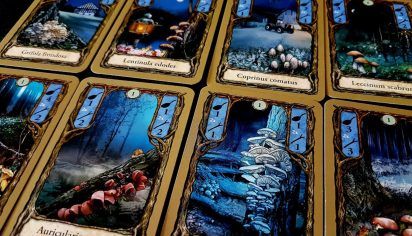 Pegasus Spiele Fungi - obrázek 2