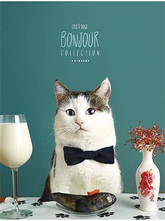 Sešit "Bonjour", čtverečkovaný, mix, A5, 48 listů, SHKOLYARYK - obrázek 1