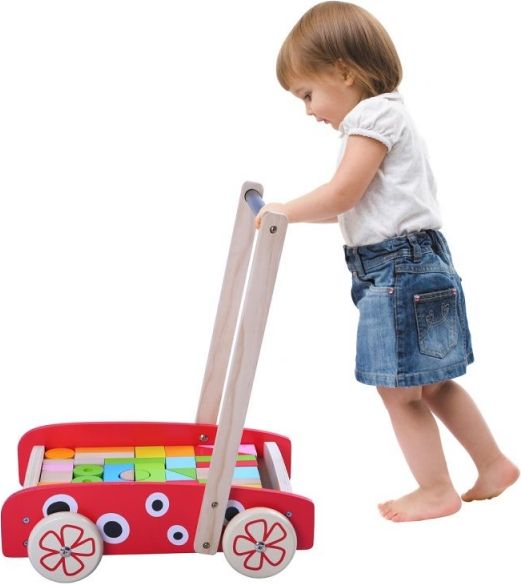 ECO TOYS Eco toys Dřevěný vozík s dřevěnými kostkami - Beruška - obrázek 3