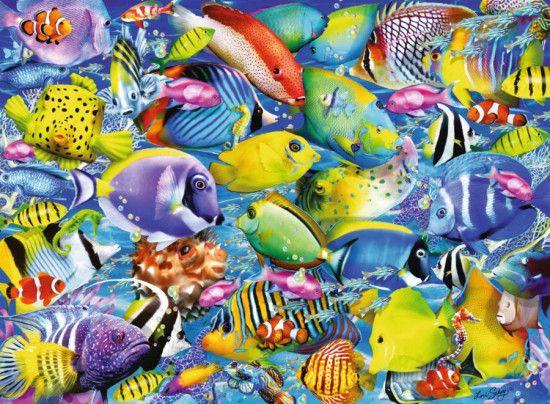 RAVENSBURGER Puzzle Hejno tropických ryb 500 dílků - obrázek 1