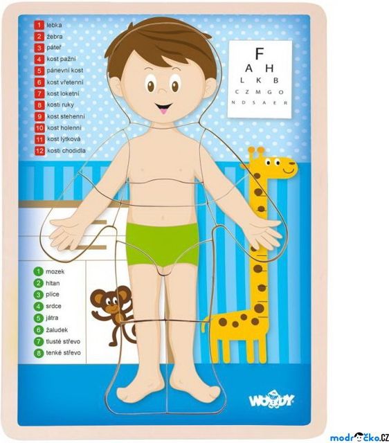 Puzzle výukové - Anatomie, Lidské tělo kluk CZ (Woody) - obrázek 1