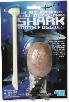 Vykopávka - svítící žraločí zub - obrázek 1