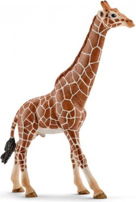 Zvířátko - samec žirafy - obrázek 1