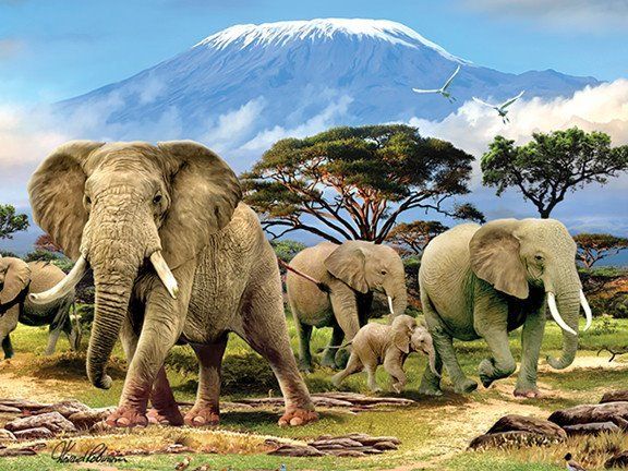 PRIME 3D Puzzle Rozmanitá říše zvířat 3D 3v1 - obrázek 4