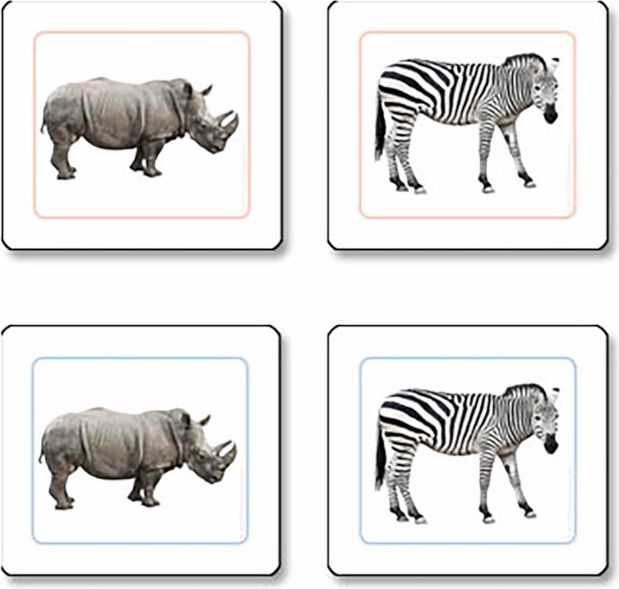 Přikládací karty pro nejmenší: Zvířata Afriky - obrázek 1
