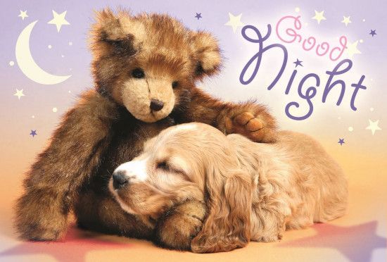 TREFL Puzzle Dobrou noc 60 dílků - obrázek 1