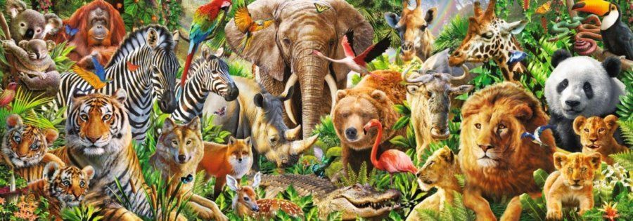 JUMBO Panoramatické puzzle Zvířata světa 1000 dílků - obrázek 1