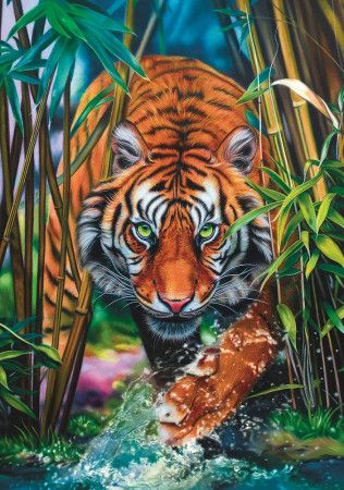 TREFL Puzzle Plížící se tygr 1000 dílků - obrázek 1