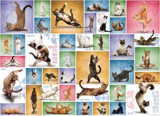 EUROGRAPHICS Puzzle Kočičí jóga 1000 dílků - obrázek 1