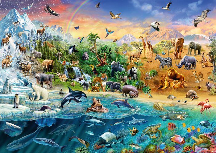 SCHMIDT Puzzle Království zvířat 1000 dílků - obrázek 1