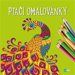 Ptačí omalovánky - obrázek 1