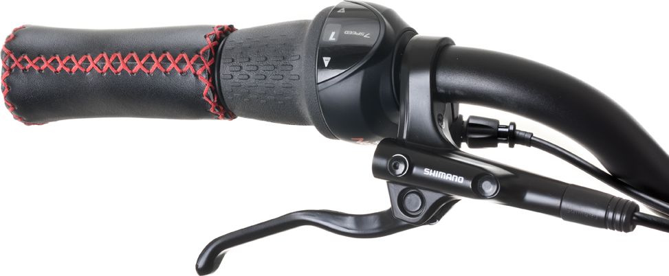 Devron 28427 28" - model 2019 Black - 19,5" - obrázek 3