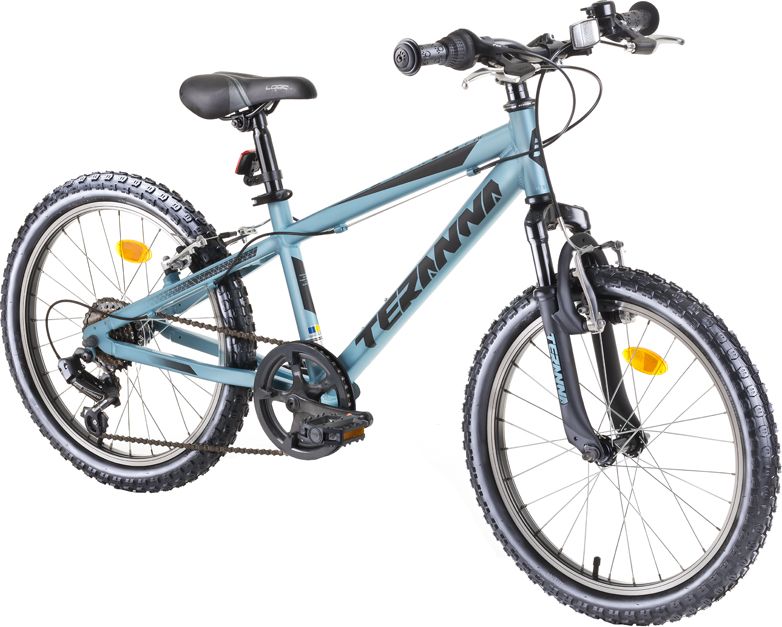 DHS Teranna 2023 20" - model 2019 Blue - obrázek 1