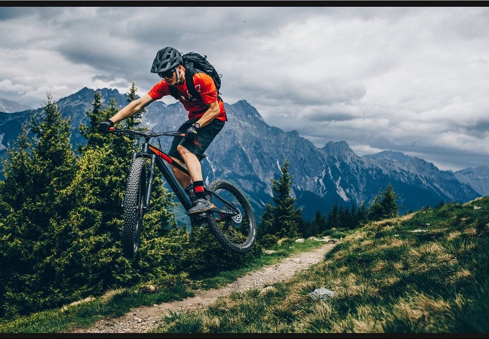 Kellys SLANGER 30 29" - model 2019 M (17.5") - obrázek 7