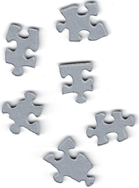 EUROGRAPHICS Puzzle Katalog semínek: Květiny 1000 dílků - obrázek 2