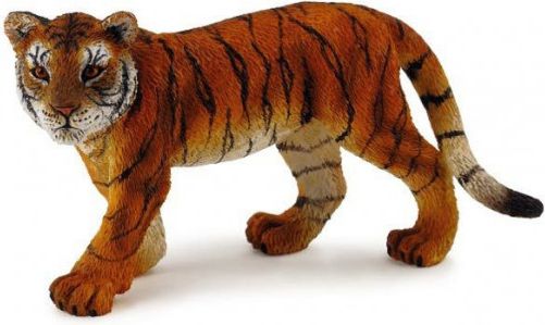 Collecta Tygr mládě stojící - obrázek 1