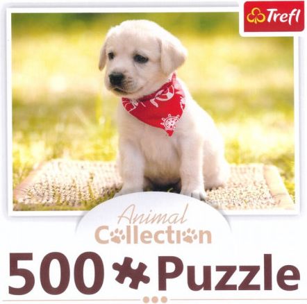 TREFL Puzzle Štěně s šátkem 500 dílků - obrázek 1