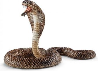 Zvířátko - kobra - obrázek 1