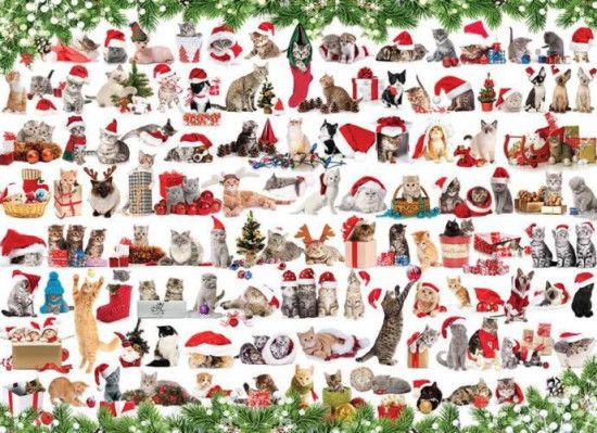 EUROGRAPHICS Puzzle Vánoční kočky 1000 dílků - obrázek 1