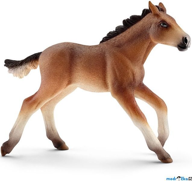 Schleich - Kůň, Mustang hříbě - obrázek 1