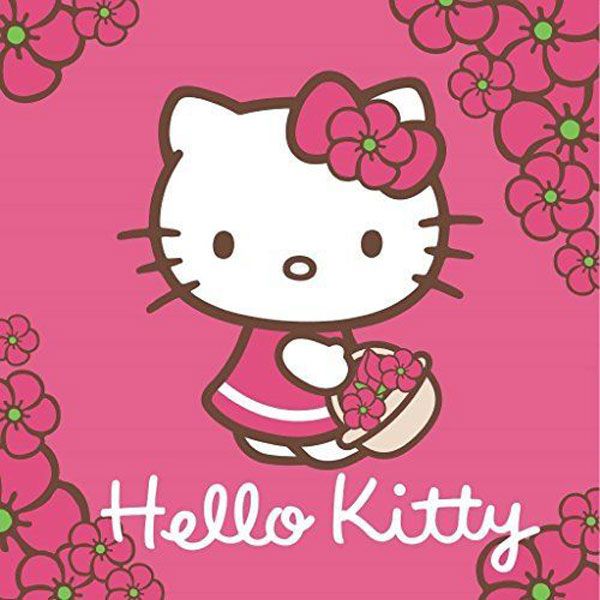 DETEXPOL Magický ručníček Hello Kitty Bavlna/Froté, 30/30 cm - obrázek 1