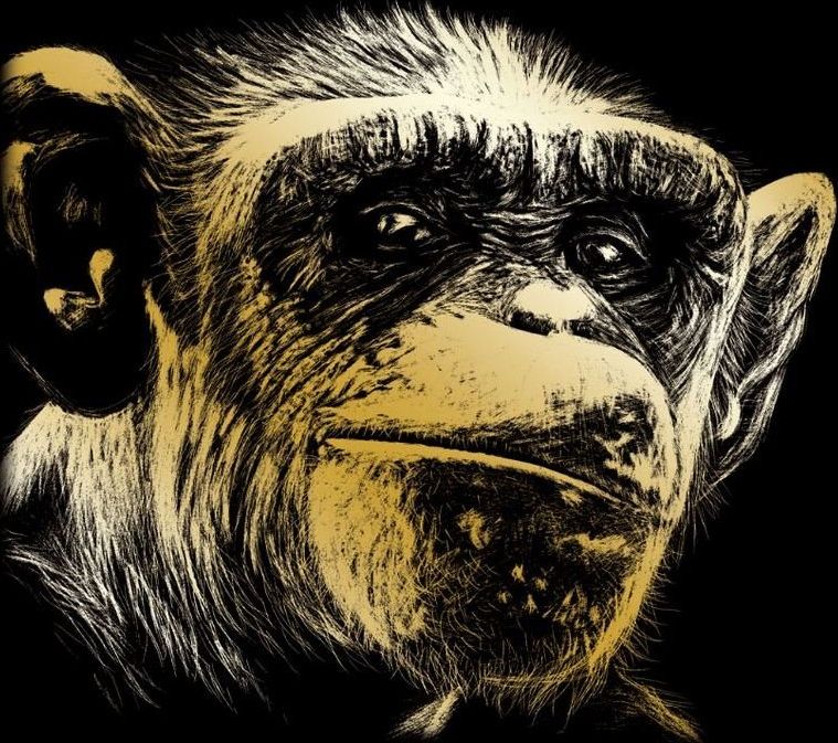 ROYAL & LANGNICKEL Zlatý škrabací obrázek Opice - obrázek 1