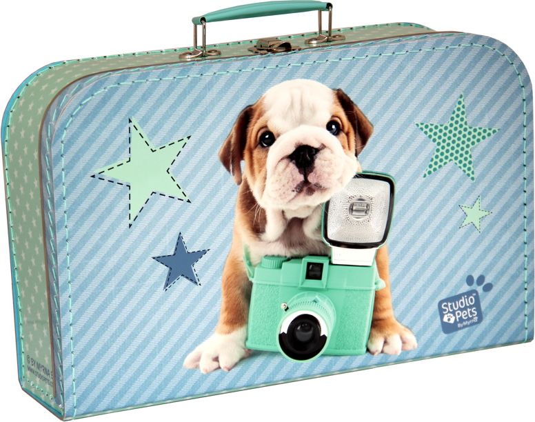 Kufřík Pejsek Star modro/zelený 35 cm - obrázek 1