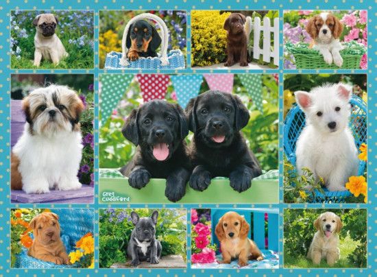 RAVENSBURGER Puzzle Rozkošná štěňátka 500 dílků - obrázek 1