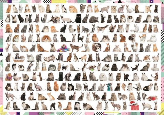 TREFL Puzzle 208 koček 1000 dílků - obrázek 1