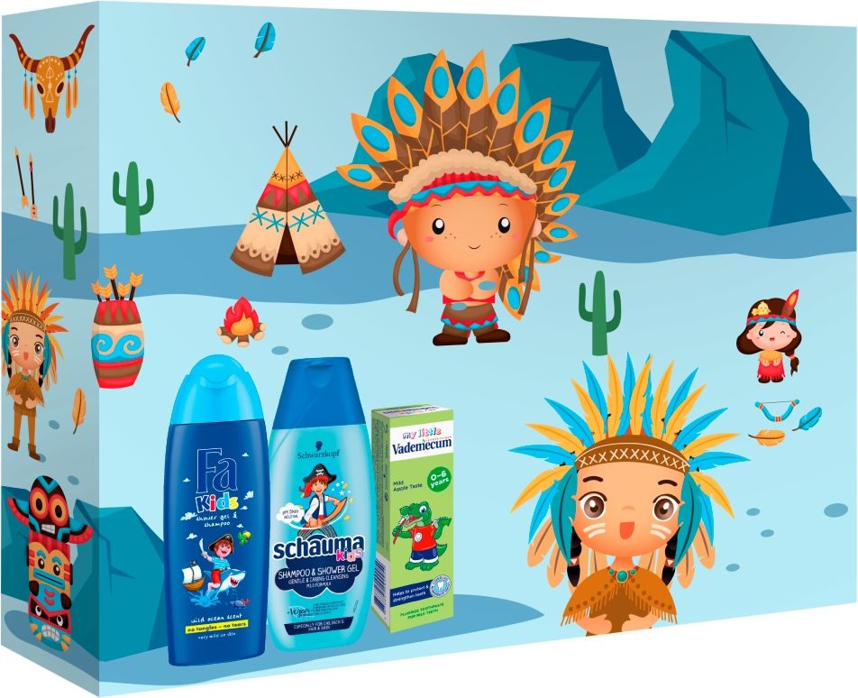 Fa & Schauma & Vademecum dárková sada chlapecká 250 ml + 250 ml + 50 ml - obrázek 1