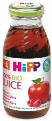 HiPP BIO Jablečnomalinová šťáva 200 ml - obrázek 1