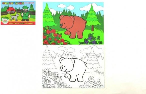 Teddies Omalovánky Moje první zvířátka lesní 21x14,5cm MPLZ - obrázek 1
